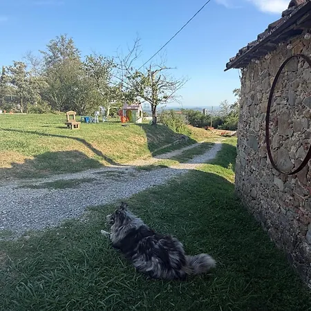 Dom wakacyjny Tuscany Terroir Capannori
